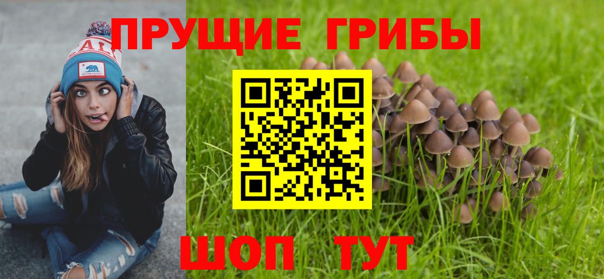 Псилоцибиновые грибы Magic Shrooms Псков